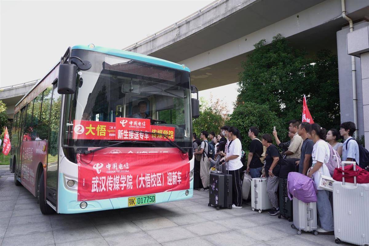 冰球游戏下载